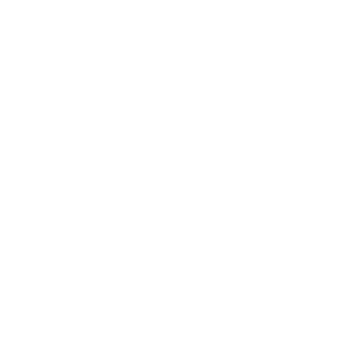 CAPRI WATCHES
